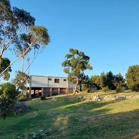 Old Salty Villa Binalong Bay Exteriör bild