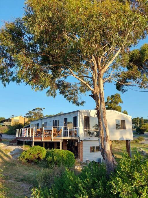 Old Salty Villa Binalong Bay Exteriör bild