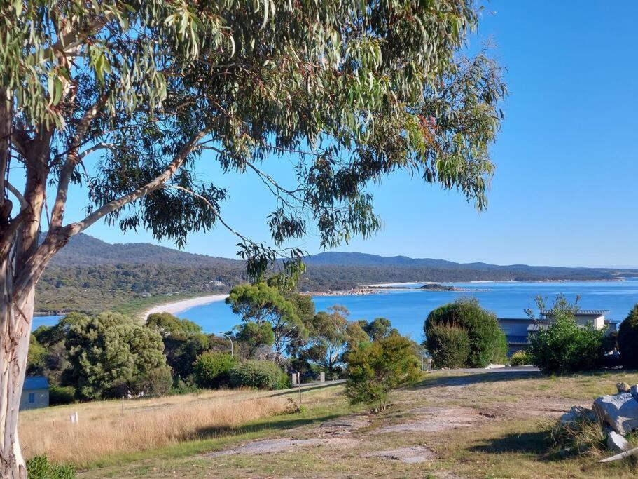 Old Salty Villa Binalong Bay Exteriör bild